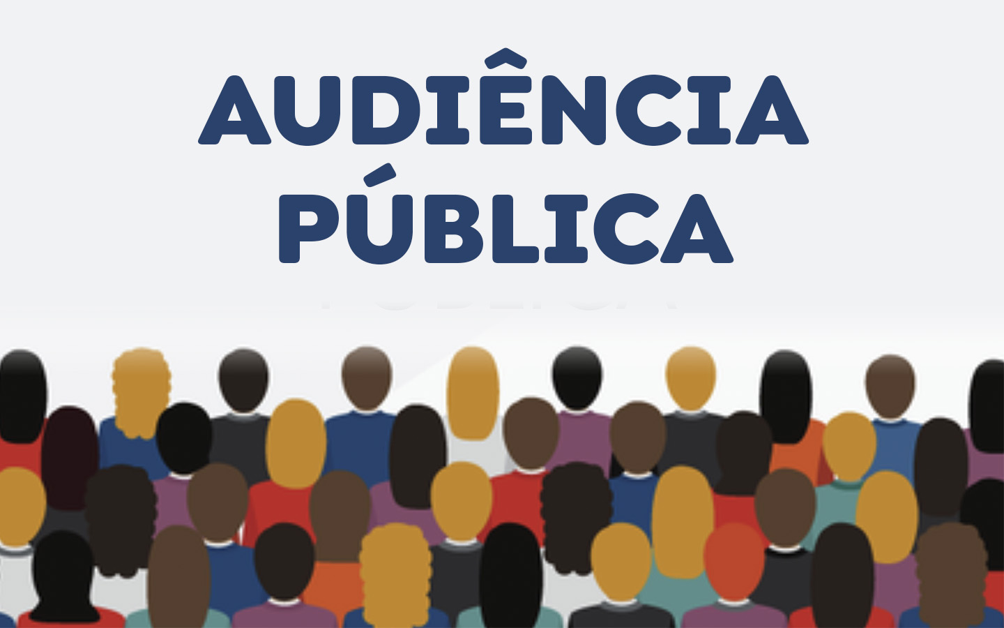 Audincia Pblica