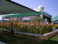 Produtores de Lunardelli participam do Show Rural em Cascavel