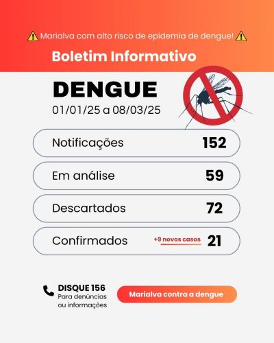 Confira o boletim da dengue desta semana, referente ao período do início do ano até o último sábado