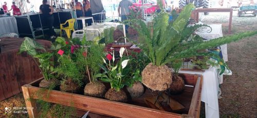 Agroindústrias e artesãos de Vilhena impulsionam negócios na 4ª edição da Agroshow em Machadinho D′Oeste
