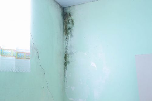 Semas realizará mutirão de limpeza e reformas em prédios da pasta