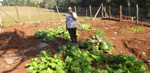 Conheça o Projeto Renda Agricultor Familiar