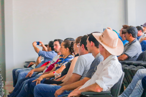 Prefeitura de Turvo fortalece a agricultura local com curso gratuito de apicultura