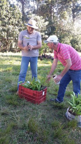 SEMANA DO MEIO AMBIENTE - DE 31/05 A 06/06