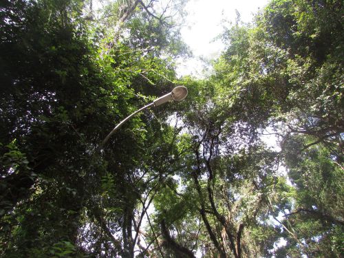 Revitalização do Parque Ambiental