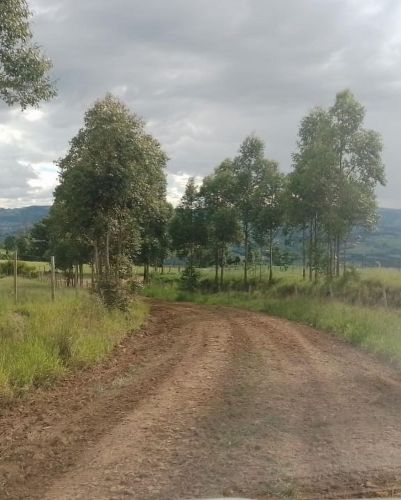 Readequação das estradas e construção de pontes de madeiras e bueiro de concreto, nas estradas rurais do Município.