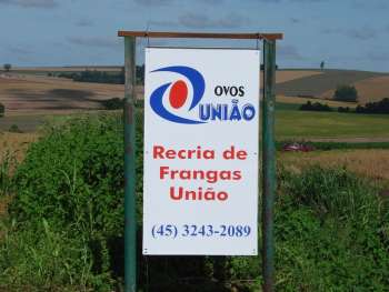 Fotos Plano diretor - 