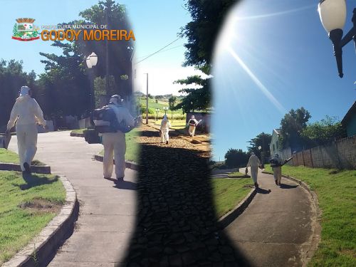 controle de endemias - bloqueio de transmisso.