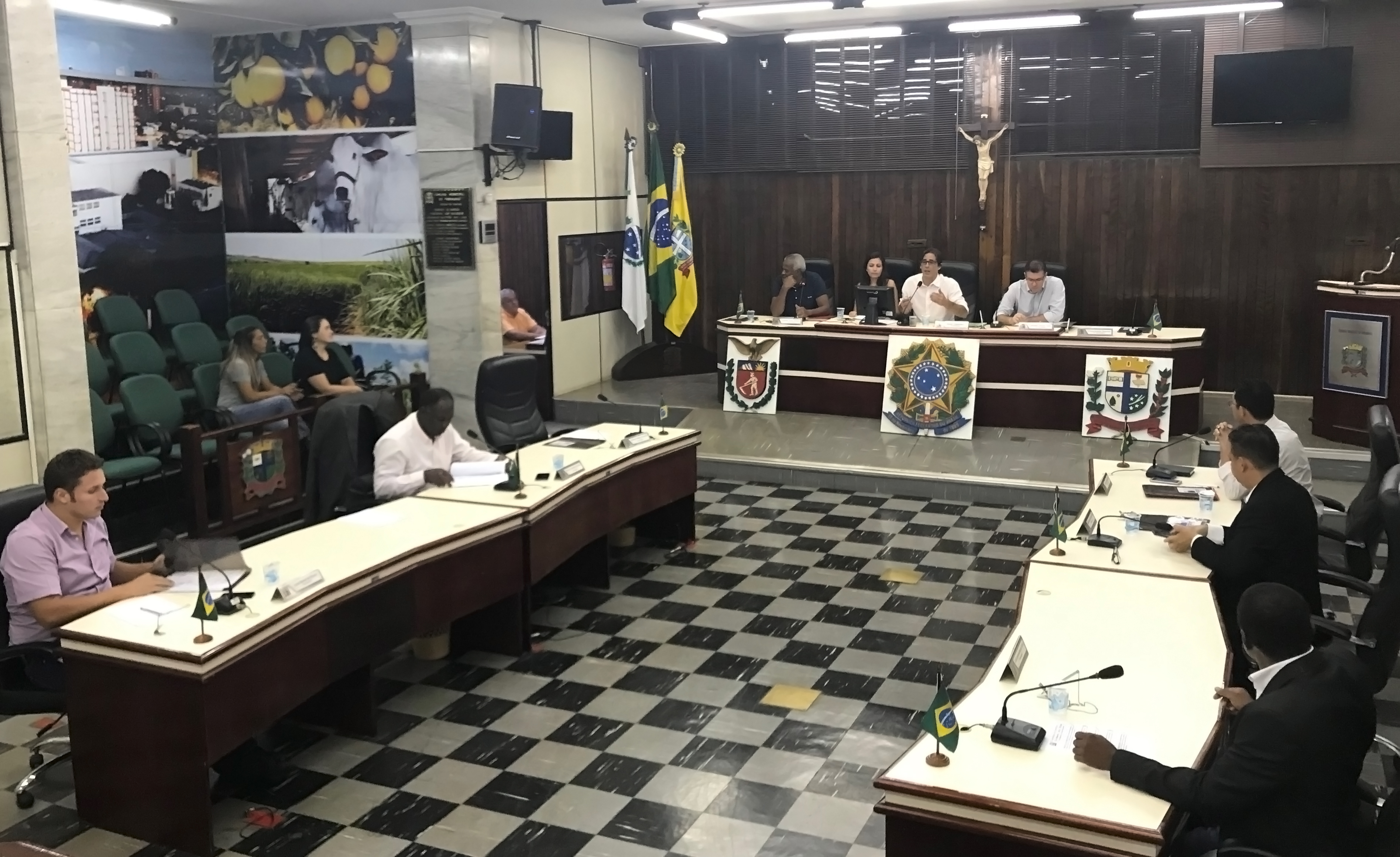 Em sesso, parlamentares da CCJ deliberam sobre projetos