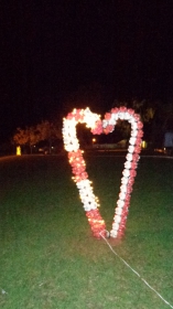 -- NATAL ILUMINADO -- Confira ==>