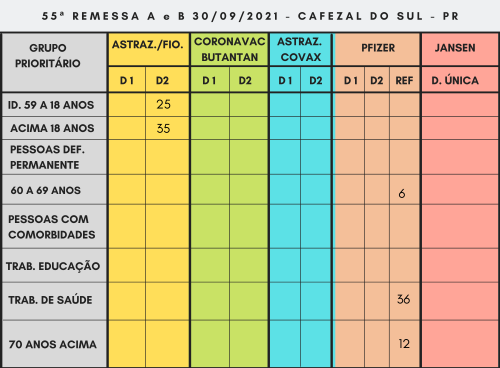 REMESSA DE VACINAS COVID 19