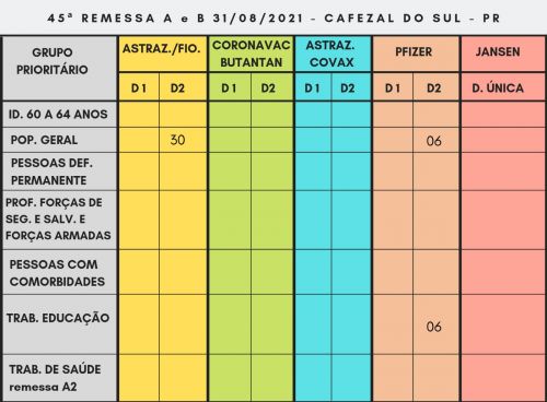 REMESSA DE VACINAS COVID 19