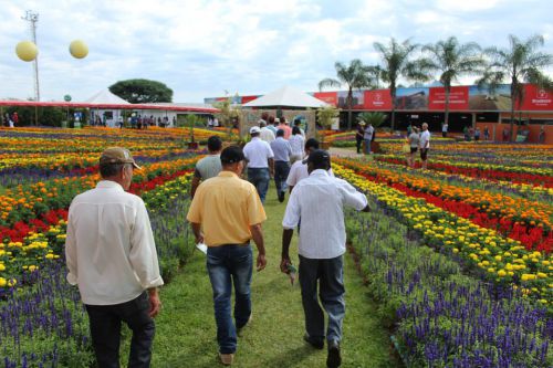 Agricultores do município participam do Show Rural Coopavel.