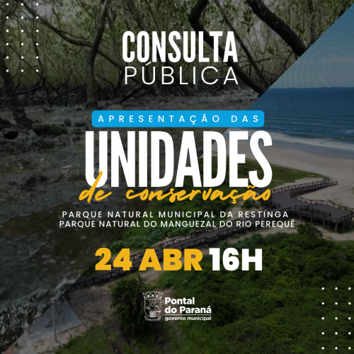 AVISO DE CONSULTA PÚBLICA