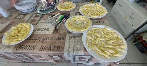 FORMADA TURMA DE ALUNOS DO CURSO DE BENEFICIAMENTO E TRANSFORMAÇÃO CASEIRA DE MANDIOCA