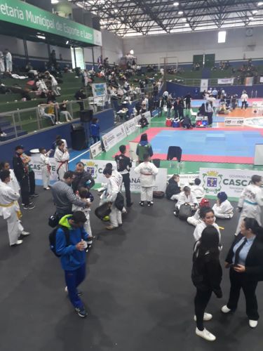 ATLETAS PONTALENSES TRAZEM 10 MEDALHAS DO BRASIL OPEN DE TAEKWONDO