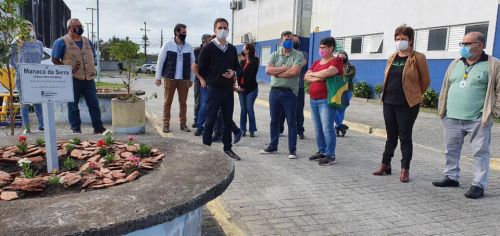 Plantio de Manacá da Serra homenageando à Primavera 