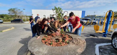 Plantio de Manacá da Serra homenageando à Primavera 