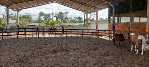 COMPOSTAGEM NA EQUOTERAPIA, FOI LÁ QUE TUDO COMEÇOU