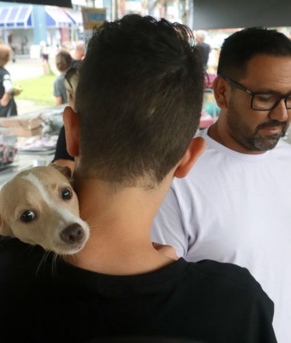 2ª Feira de Adoção de Animais destina pets a novos tutores. Corrida Kids reúne dezenas de crianças em Shangri-lá 