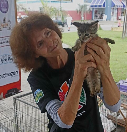 2ª Feira de Adoção de Animais destina pets a novos tutores. Corrida Kids reúne dezenas de crianças em Shangri-lá 