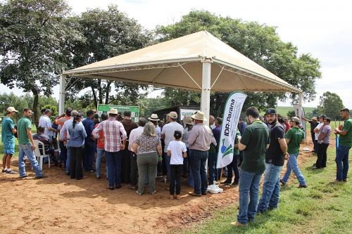  Tarde de Campo com os produtores rurais