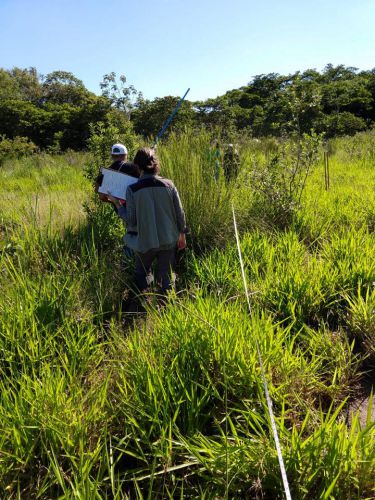 PREFEITURA RECEBE VISITA DA EMPRESA MATER NATURA PARA PROJETO DE RECUPERAÇÃO DE ÁREAS AMBIENTALMENTE DEGRADADAS