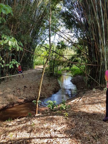 2 Caminhada Ecológica - Trilha do Gavião