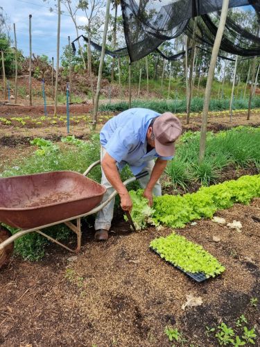 HORTA COMUNITÁRIA BENEFICIA FAMÍLIAS DAS CRIANÇAS QUE FREQUENTAM O CENTRO DE ATENDIMENTO ESPAÇO CRIANÇA