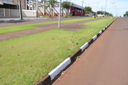 Revitalização da Avenida dos Pioneiros deixou local com um belo aspecto visual