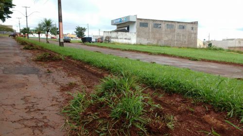 Serviços Urbanos cuidando da cidade