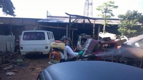 Alto índice do mosquito Aedes aegypti causador da Dengue, Chikungunya e Zika preocupa autoridades de Saúde