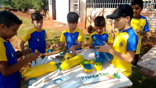 Projeto Formando Cidadãos com Saberes Agroecológicos e Sustentáveis