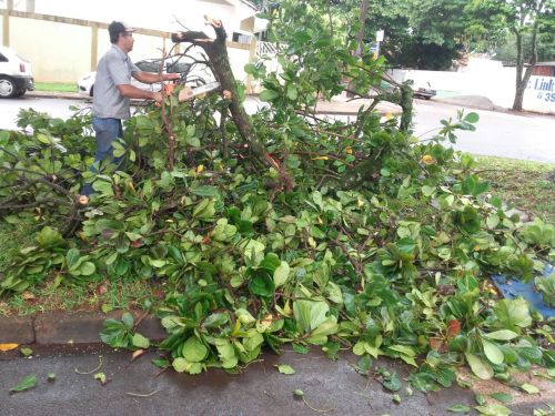 Equipe da Secretaria de Serviços Urbanos realiza limpeza da cidade após tempestade 